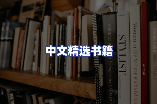 中文精选书籍